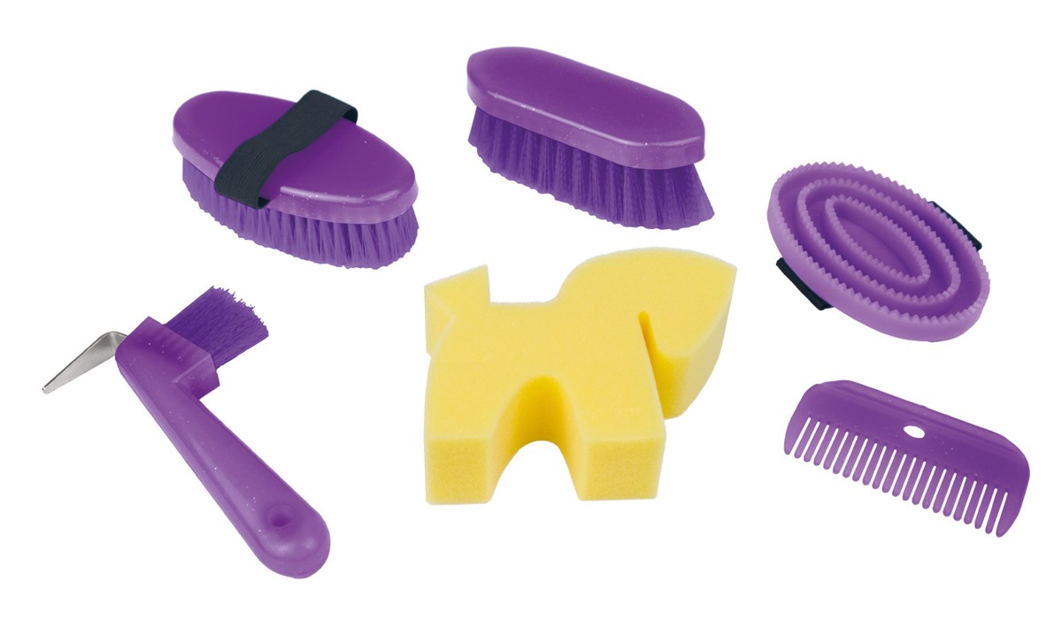 Box mit Zubehör für Pferde